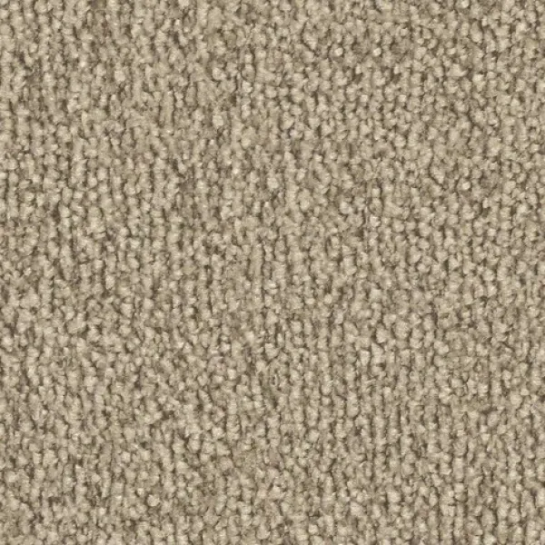 Vorwerk Safira Teppichboden Farbcode 8H72 – Draufsicht ohne Etikett